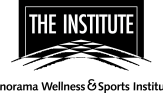the institute logo
