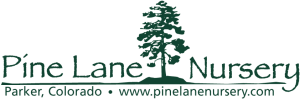 pine lane nursery logo